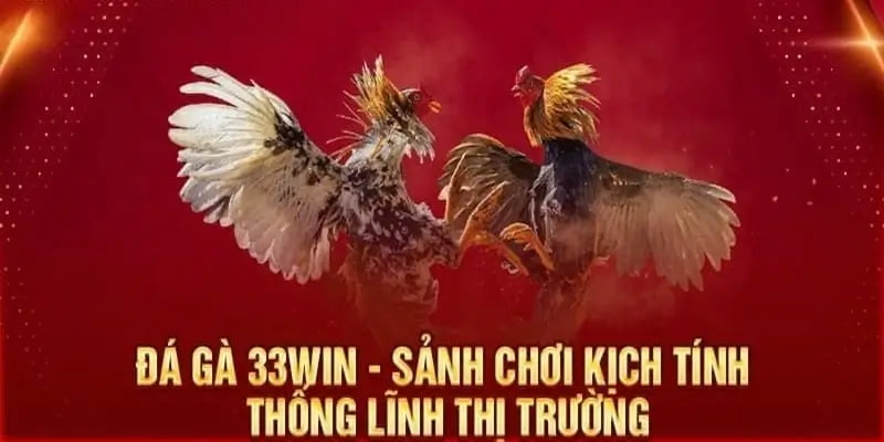 Đá Gà Cựa Dao - Hình Thức Mới Lạ Với Trò Chơi Truyền Thống